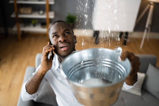 Professional Water damage restoration in Seeley, CA