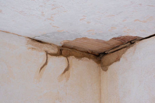 Best Emergency water damage restoration  in Seeley, CA