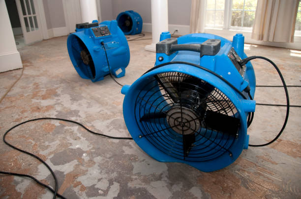 Best Water damage restoration experts  in Seeley, CA