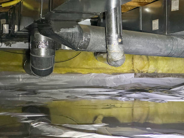 Best Mold removal after water damage  in Seeley, CA
