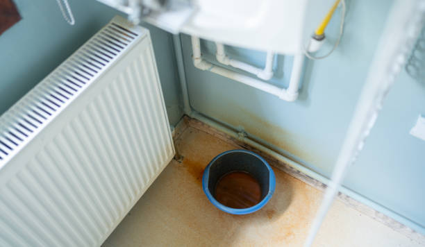 Best Water damage restoration specialists  in Seeley, CA