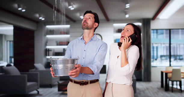Best Residential water damage restoration  in Seeley, CA